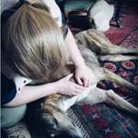 Canine Massage Fundamentals Fall 2026 — AMMEC
