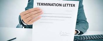 Write this type of letter to notify a client that you are terminating your work with their company. Notice Of Termination Of Employment Letter Sample Format Template