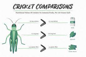 According to the usda dietary guidelines learn exactly how much protein you need to eat every day. Cricket Nutrition Information Facts Insight Pest Solutions