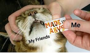 Made In Abyss Meme Anime Memes Memes Anime