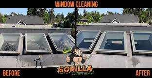Looking for a window cleaning service in toronto? Window Cleaning Gorilla Property Services