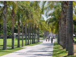 The lmu campuses provide a backdrop to each student's unique university experience. Loyola Marymount Campus Tour