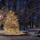 Christmas Tree Lighting