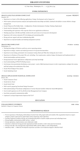 oracle consultant resume sample