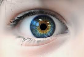 Nov 25, 2020 · the aao explain that in people with central heterochromia, the iris has two rings of different colors, while in those with complete heterochromia, one iris is a different color than the other. Eyeball 12 Heterochromia Eyes Beautiful Eyes Color Eyes
