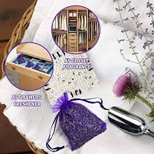 We did not find results for: Yoleshy Dried Flowers Natural Dried Flower Herbs Kit For Bath Soap Making Candle Making 9bag Include Dried Lavender Rose Petals Jasmine Flower Gomphrena Globosa And More Pricepulse