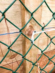 Tips and tricks to build a treated wood fence. How To Build A Wood Fence On A Chainlink Fence Bower Power