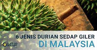 Bak kata member sorang tu macam mana hang tau durian ada 10. 6 Jenis Durian Anda Mesti Cuba Dan Musim Durian Di Malaysia C Letsgoholiday My