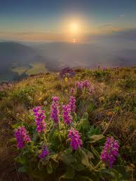 Download kitab al khuthabu al minbariyah al 'ashr. Awaiiquth Thalab 6 Penghalang Penuntut Ilmu Bag 4 Assunahsalafushshalih