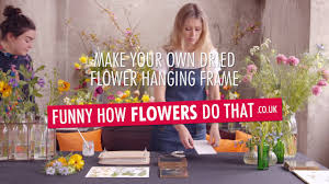 Compose an arrangement of pressed flowers. Diy Make Your Own Dried Flower Hanging Frame Funny How Flowers Do That