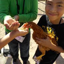 Residential Outdoor School