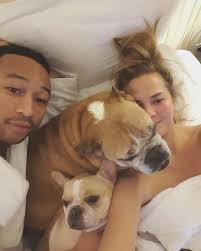 Often referred to as the frenchton this little dog brings with it a. 30 Celebrities With French Bulldogs And Their Cute Frenchie Names