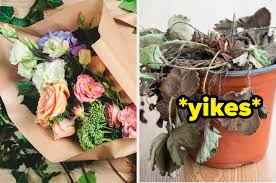 Land (32) planeswalker (1) enchantment (10) artifact (8) sorcery (8) instant (17) creature (23). Build A Flower Shop And We Ll Guess The Last Time You Watered Your Plants