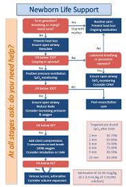 Obstetrics Orientation Resources Charlies Ed