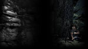 Hd Wallpaper Rambo Rambo The Video Game Wallpaper Flare Browse and download minecraft ranboo skins by the planet minecraft community. wallpaperflare