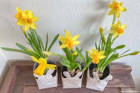 Wir zeigen, wie sie mit wenig. Osterhasenblumentopf Aus Milchtuten Upcycling Diy Schnin S Kitchen