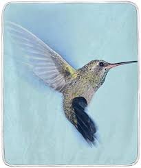 😊my name is carole and i have been consistently feeding. Amazon Com Wihve Throw Blanket Hummingbird Lightweight Warm Cozy Microfiber Blankets Travelling Camping 50 X 60 Inch All Season For Couch Or Bed Home Kitchen