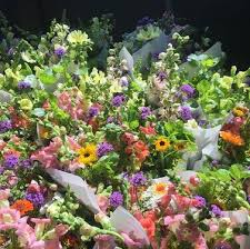 All zumbrota hotels zumbrota hotel deals by hotel type. Bleed Heart Floral Farm Design Home