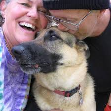 Night from Cassy and me, we're shattered. 🙄