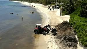 El sargazo alcanza niveles récord en el Caribe mexicano pese a las labores de limpieza