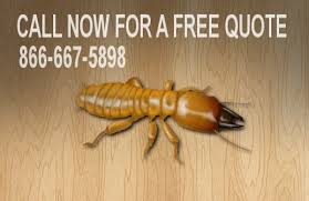 Pest control now is a free service that was created to help homeowners save time and money when looking for a local pest control company. Commercial Pest Control Extermital Termite Pest Control