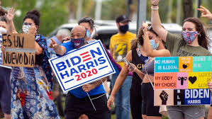 Image result for Bidens diversa