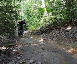 Come, let us take you on a hike! Dirt Diaries Exploring Bukit Kiara S Trails