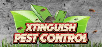 Pest advice for controlling rats. Exterminator Miami Xtinquish 305 224 9096 Serving All Of Miami Dade