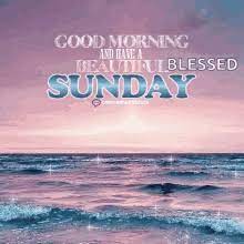 Check spelling or type a new query. Have A Blessed Sunday Gifs Tenor