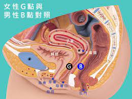 Ｇ点与其他的高潮点大公开！了解后你能更精确地提升性爱体验！-色聚–老司机福利资源站