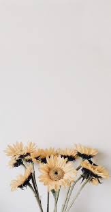 Floral Sunshine Sunflower Wallpaper Colorful Wallpaper Landscape Wallpaper