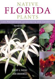 Maybe you would like to learn more about one of these? Native Florida Plants Low Maintenance Landscaping And Gardening Haehle Robert G Brookwell Joan 9781589790513 Amazon Com Books