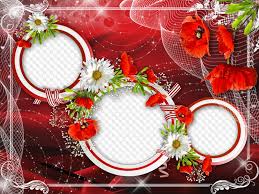 Download png image you need and share it via sns. Flower Frame Red Poppies With All My Heart Love Free Flower Photo Frame Psd Free Flower Photo Frame Png Free Download