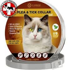 Since essential oils have been used for pest control in humans, many cat owners have begun to use these oils in an attempt to prevent fleas in cats. Cat Flea Collar Pet Essential Oil Pest Control Collars Flea And Tick Prevention Ebay