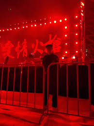 赵照演唱会-专业保安-安徽帝盾保安服务有限公司-|安徽帝盾保安 ...