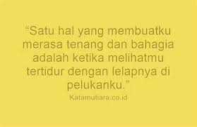 Tidak harus berupa harta yang melimpah atau mobil mewah, cukup dengan kata cinta maka hati seorang istri akan merasakan kebahagiaan yang mendalam. Kata Kata Romantis Untuk Istri Yang Manis