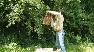 Meet William Crumpler II