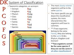 Classification Of Living Things Ppt Download