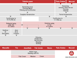 sherry production process sherrynotes