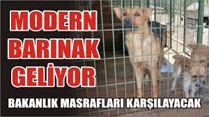 Duzce Postasi Duzce Nin En Cok Okunan Gazetesi Yerel Haber Spor