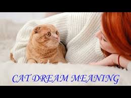 However, their meaning is mostly cats in dreams are often symbols of intuition, that instinctive gut feeling of knowing something. Cat Dream Meaning Most Comprehensive Dream Dictionary