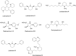 Image result for lobelia combine composition