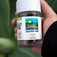 Glass House Farms — Jillian Blanco