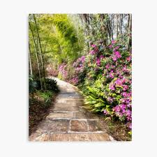 Down The Garden Path Bellingrath Garden Al Canvas Print By Kathy Weaver Garden Paths Traditional Landscape Garden