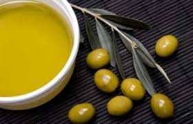Olive Oil Croatia All About Croatian Olive Oil