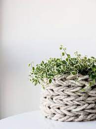 Maybe you would like to learn more about one of these? Knitting A Plant Pot Without Needles The Joy Of Plants