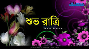 Pied crested cuckoo previous : Good Night Wallpapers Bengali Quotes Wishes For Whatsapp Greetings For Facebook Images Life Inspi Good Night Love Quotes Good Night Quotes Good Night Wallpaper