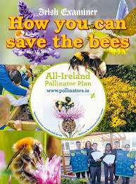 Due to variations in climate and conditions, flowering times may differ from region to region, and this may bumble bees, with their furry coats, may also be found foraging on cooler days. Bumblebees Are Good For You All Ireland Pollinator Plan