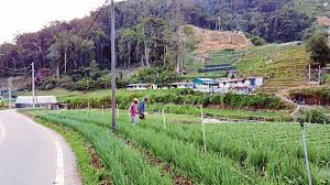 Highland britain consists of scotland. Is There Still A Sustainable Future