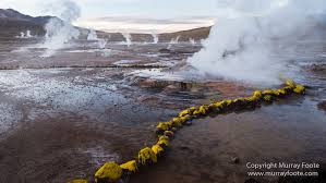 These are the words that solve the crossword puzzle of words of wonders el tatio level 15: El Tatio Murray Foote